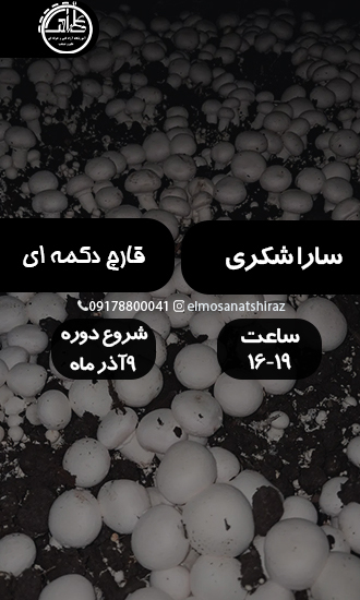 پرورش قارچ دکمه ای
